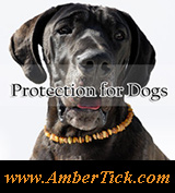 Tick and Flea Protection Pet Collars
