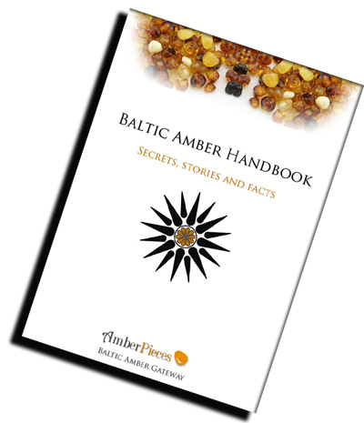 Baltic Amber Handbook
