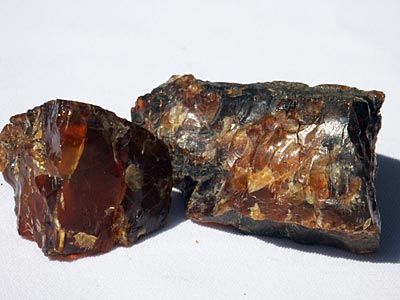 Amber Fossil Resin